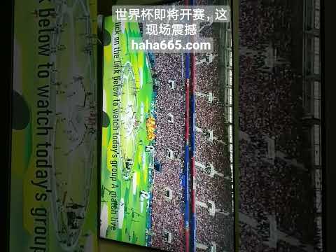 周日,葡超对决,吉马良斯挑,PG电子官网,PG电子试玩,PG电子模拟器,PG电子平台,PG电子下载