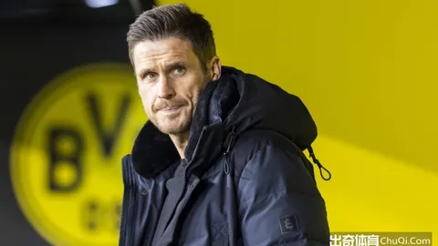 大乐透期号专家质合分析推荐前区十码：慕尼斯帕尔VS圣何塞体育